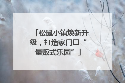 松鼠小镇焕新升级，打造家门口“量贩式乐园”