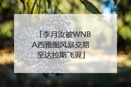 李月汝被WNBA西雅图风暴交易至达拉斯飞翼