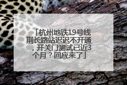 杭州地铁19号线荆长路站迟迟不开通，开关门测试已近3个月？回应来了