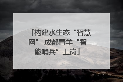 构建水生态“智慧网” 成都青羊“智能哨兵”上岗