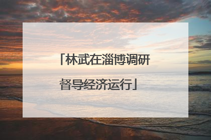 林武在淄博调研督导经济运行