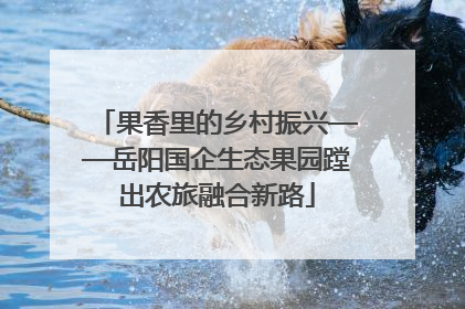 果香里的乡村振兴——岳阳国企生态果园蹚出农旅融合新路
