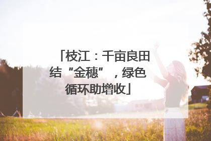 枝江：千亩良田结“金穗”，绿色循环助增收