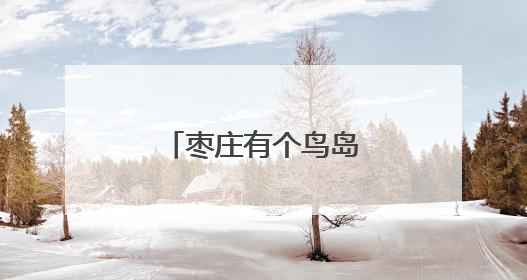 枣庄有个鸟岛，白鹭成群！