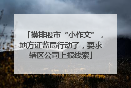 摸排股市“小作文”，地方证监局行动了，要求辖区公司上报线索