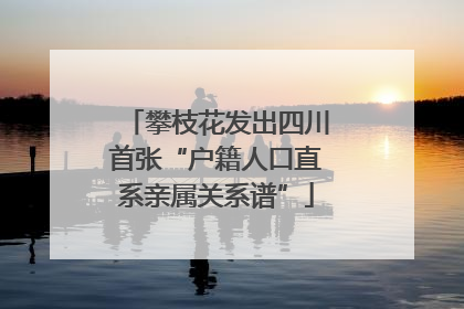 攀枝花发出四川首张“户籍人口直系亲属关系谱”