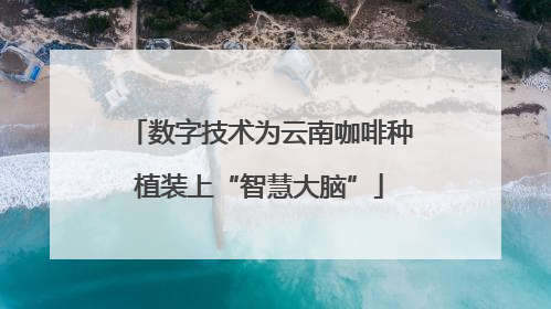数字技术为云南咖啡种植装上“智慧大脑”