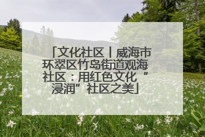 文化社区丨威海市环翠区竹岛街道观海社区：用红色文化“浸润”社区之美