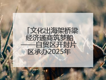 文化出海架桥梁 经济通商筑梦船——自贸区开封片区承办2025年匈牙利文旅交流对接活动专场