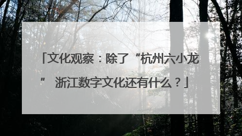 文化观察：除了“杭州六小龙” 浙江数字文化还有什么？