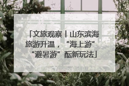 文旅观察丨山东滨海旅游升温，“海上游”“避暑游”酝新玩法