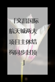 文昌国际航天城两大项目主体结构同步封顶