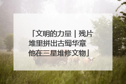 文明的力量｜残片堆里拼出古蜀华章 他在三星堆修文物