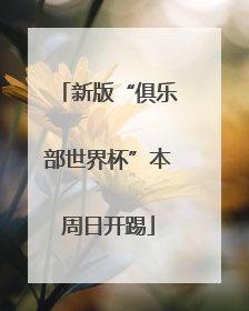 新版“俱乐部世界杯”本周日开踢