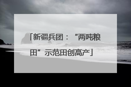 新疆兵团：“两吨粮田”示范田创高产