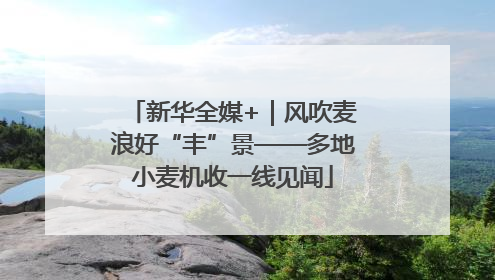 新华全媒+｜风吹麦浪好“丰”景——多地小麦机收一线见闻
