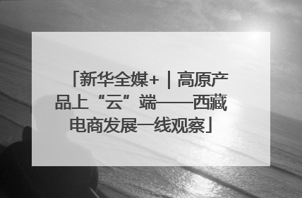 新华全媒+｜高原产品上“云”端——西藏电商发展一线观察