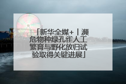 新华全媒+丨濒危物种绿孔雀人工繁育与野化放归试验取得关键进展