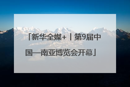 新华全媒+丨第9届中国—南亚博览会开幕