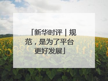 新华时评｜规范，是为了平台更好发展