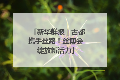 新华鲜报｜古都携手丝路！丝博会绽放新活力