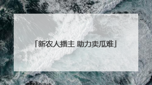 新农人播主 助力卖瓜难