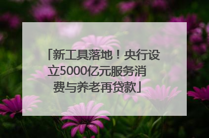 新工具落地！央行设立5000亿元服务消费与养老再贷款