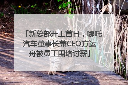 新总部开工首日，哪吒汽车董事长兼CEO方运舟被员工围堵讨薪