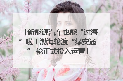 新能源汽车也能“过海”啦！渤海轮渡“绿安通” 轮正式投入运营
