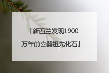 新西兰发现1900万年前喜鹊祖先化石