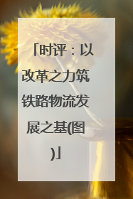 时评：以改革之力筑铁路物流发展之基(图)