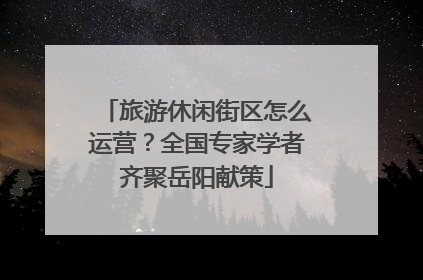 旅游休闲街区怎么运营？全国专家学者齐聚岳阳献策
