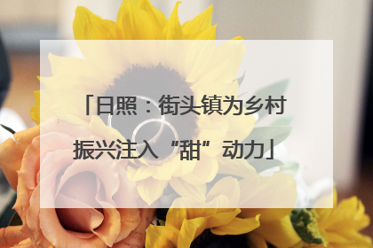 日照：街头镇为乡村振兴注入“甜”动力