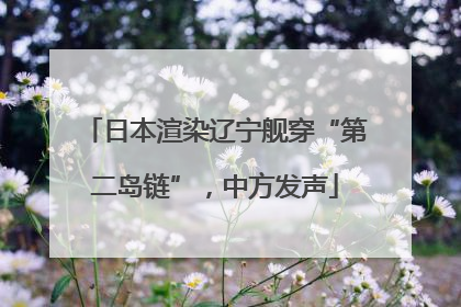 日本渲染辽宁舰穿“第二岛链”，中方发声