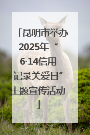 昆明市举办2025年“6·14信用记录关爱日”主题宣传活动