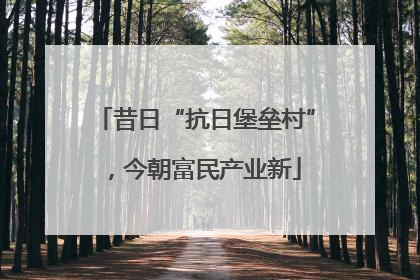 昔日“抗日堡垒村”，今朝富民产业新