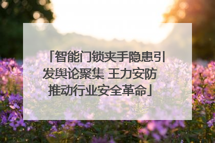 智能门锁夹手隐患引发舆论聚集 王力安防推动行业安全革命