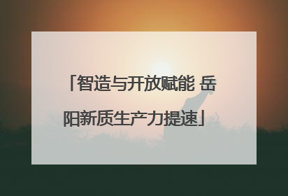 智造与开放赋能 岳阳新质生产力提速