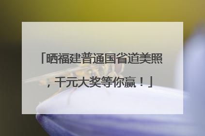 晒福建普通国省道美照，千元大奖等你赢！
