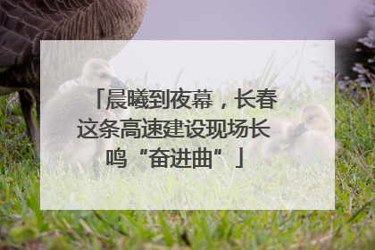晨曦到夜幕，长春这条高速建设现场长鸣“奋进曲”