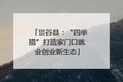 景谷县：“四举措”打造家门口就业创业新生态