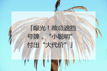曝光！故意遮挡号牌，“小聪明”付出“大代价”