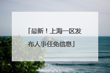 最新！上海一区发布人事任免信息