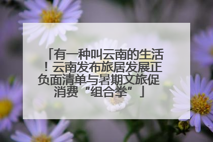 有一种叫云南的生活！云南发布旅居发展正负面清单与暑期文旅促消费“组合拳”