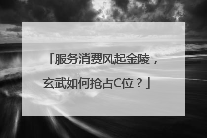 服务消费风起金陵，玄武如何抢占C位？