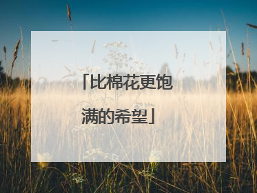 比棉花更饱满的希望