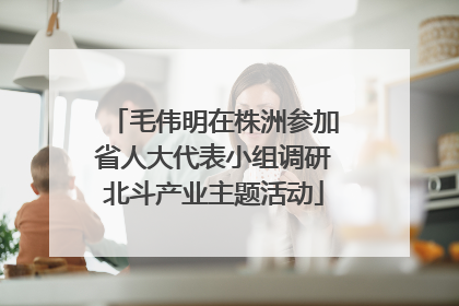 毛伟明在株洲参加省人大代表小组调研北斗产业主题活动