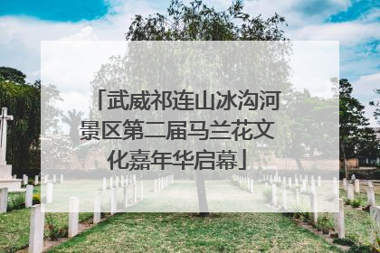 武威祁连山冰沟河景区第二届马兰花文化嘉年华启幕