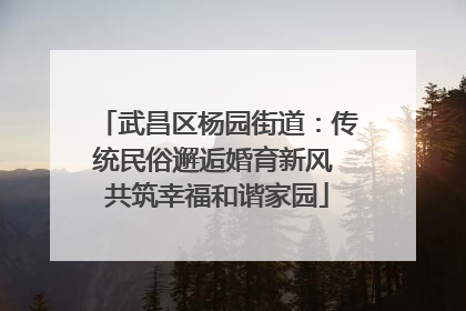 武昌区杨园街道：传统民俗邂逅婚育新风 共筑幸福和谐家园