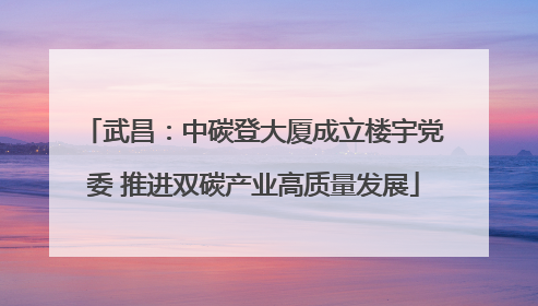 武昌：中碳登大厦成立楼宇党委 推进双碳产业高质量发展